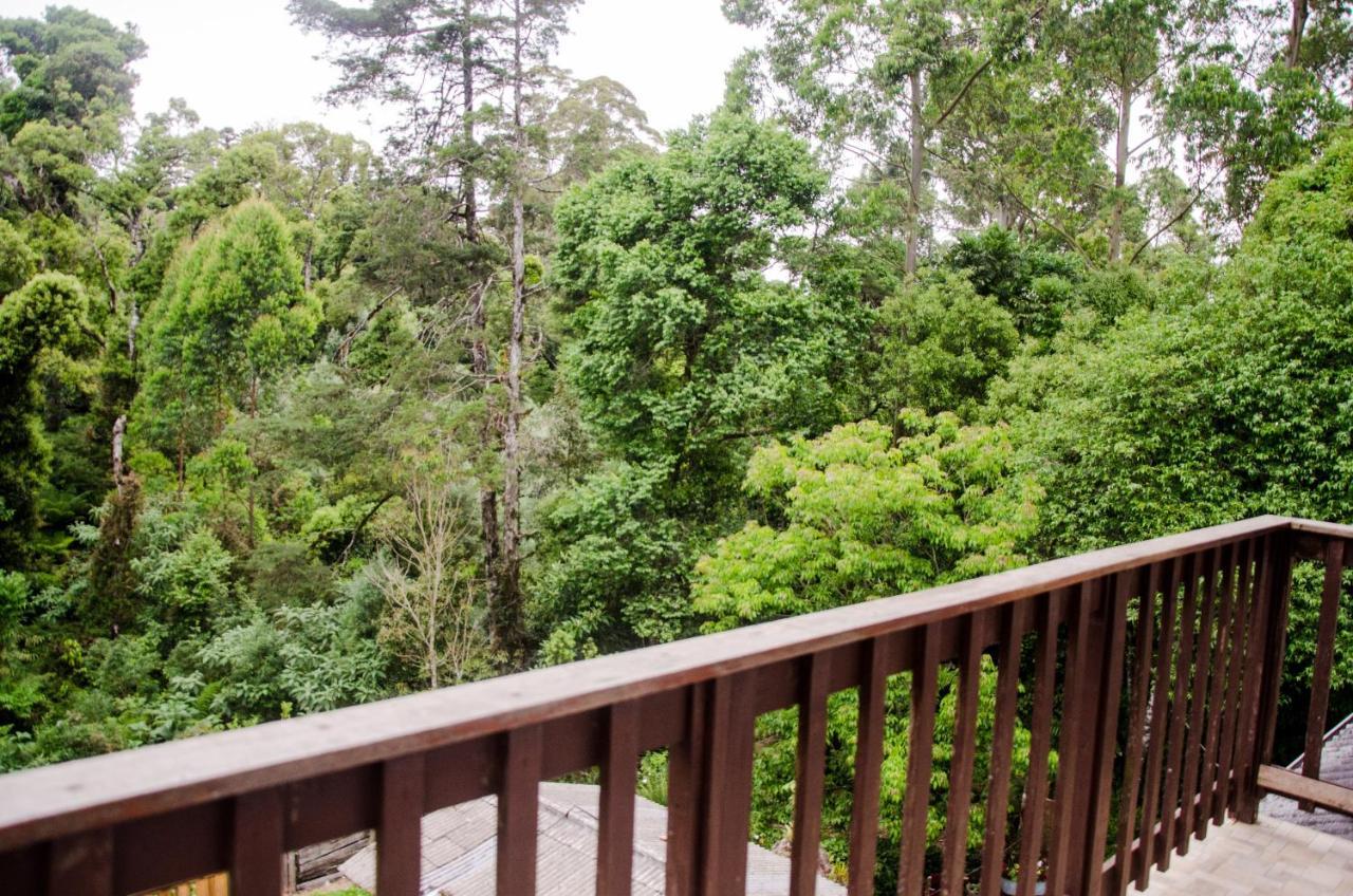 Residenciais Belo Centro Gramado - Localizado Proximo Ao Centro Eksteriør billede